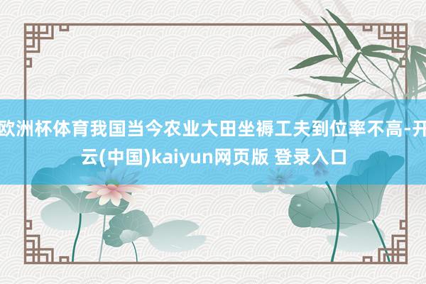 欧洲杯体育我国当今农业大田坐褥工夫到位率不高-开云(中国)kaiyun网页版 登录入口