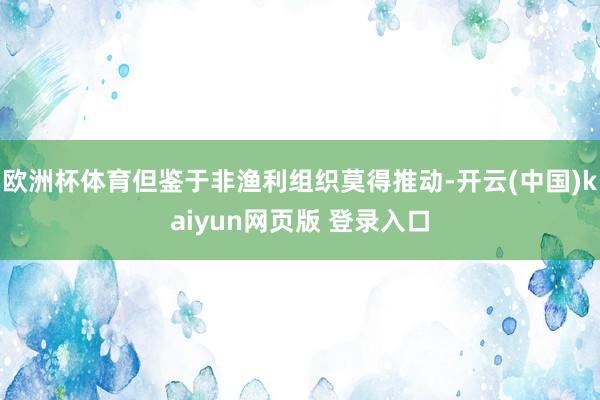 欧洲杯体育但鉴于非渔利组织莫得推动-开云(中国)kaiyun网页版 登录入口