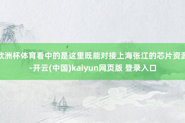 欧洲杯体育看中的是这里既能对接上海张江的芯片资源-开云(中国)kaiyun网页版 登录入口