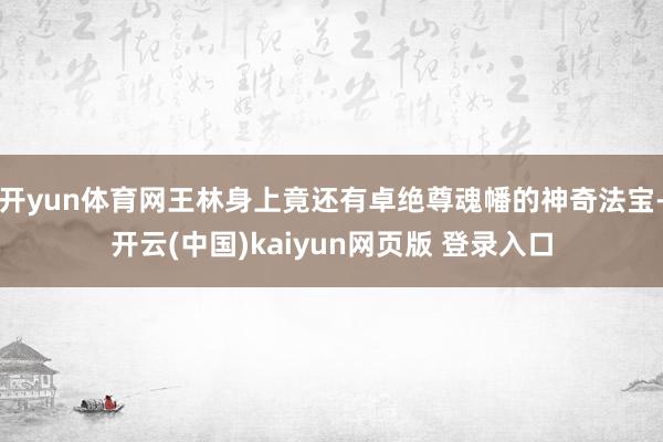 开yun体育网王林身上竟还有卓绝尊魂幡的神奇法宝-开云(中国)kaiyun网页版 登录入口