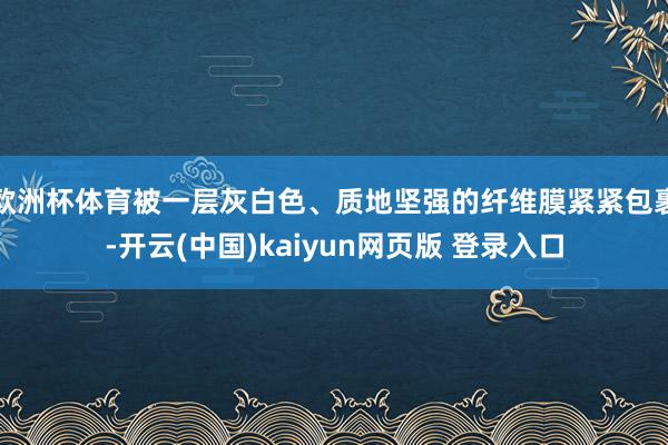 欧洲杯体育被一层灰白色、质地坚强的纤维膜紧紧包裹-开云(中国)kaiyun网页版 登录入口