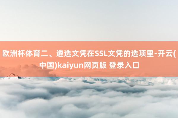 欧洲杯体育二、遴选文凭在SSL文凭的选项里-开云(中国)kaiyun网页版 登录入口